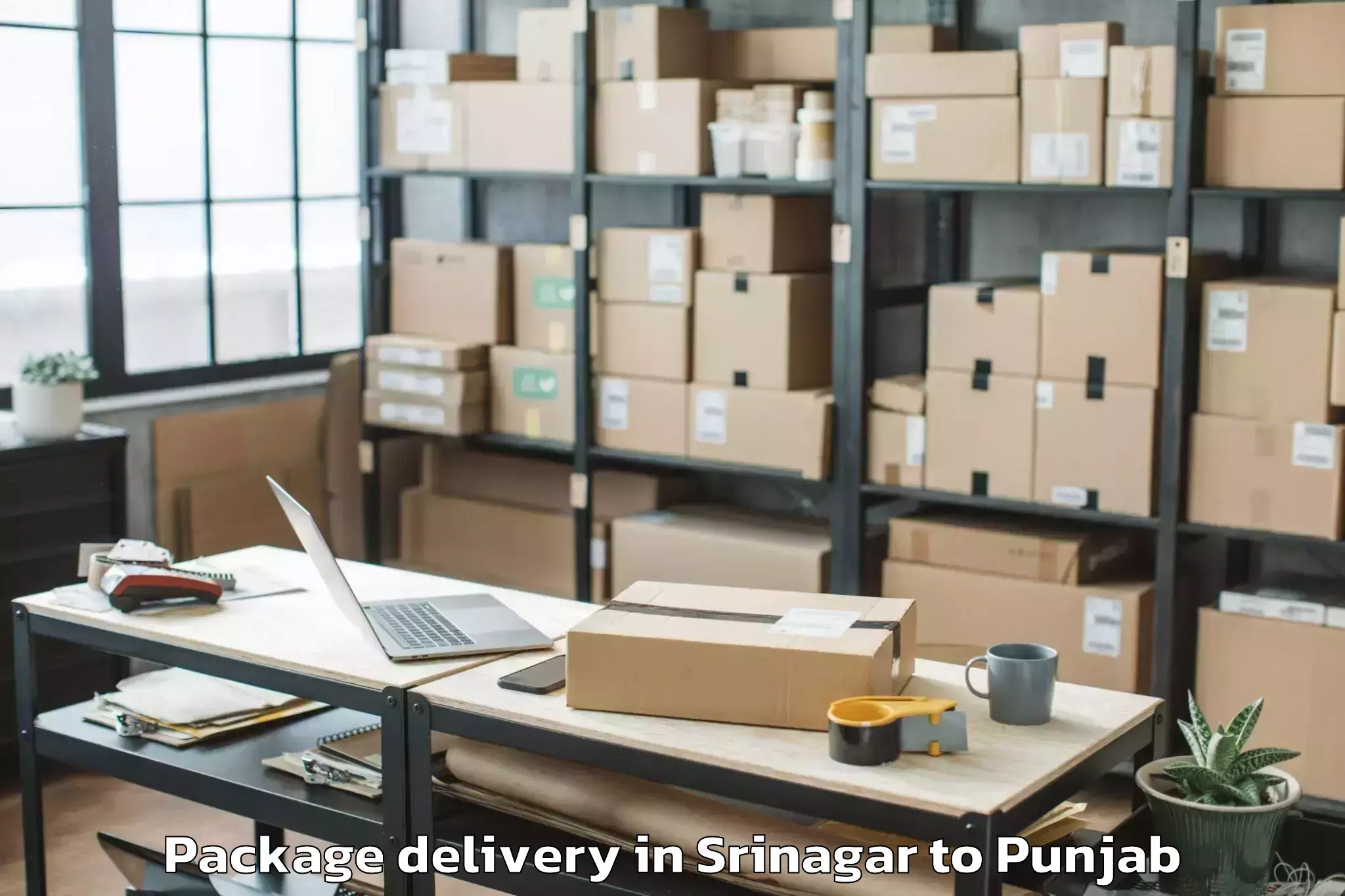 Book Srinagar to Khanna Package Delivery Online